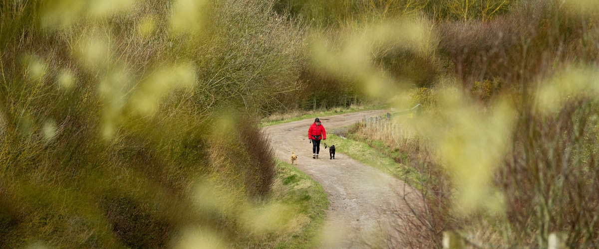 cely-woods-forestry-england