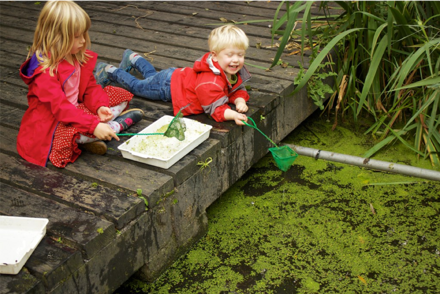 Pond dipping